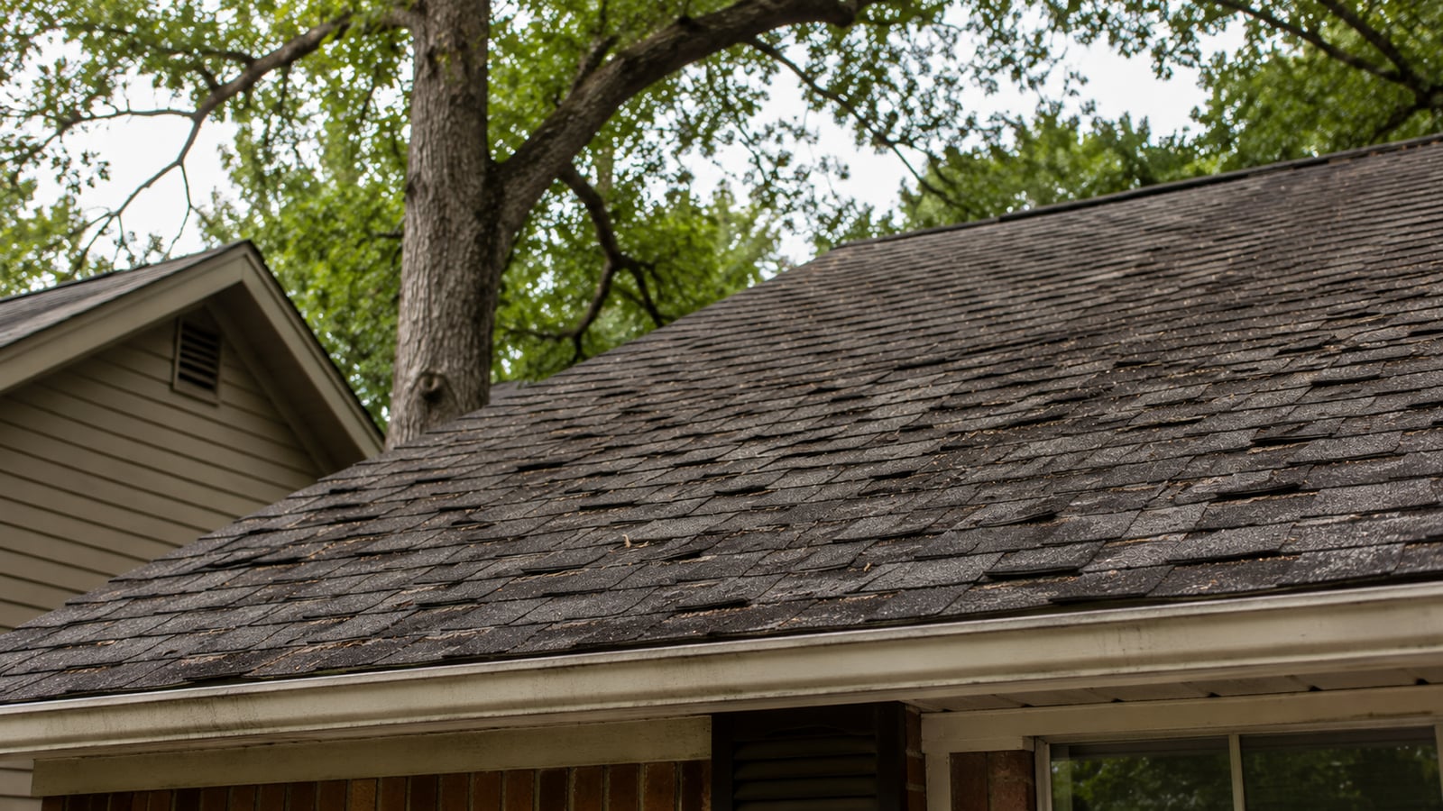Close view of aging residential roof with granule loss and weathering characteristic of a roof nearing replacement
